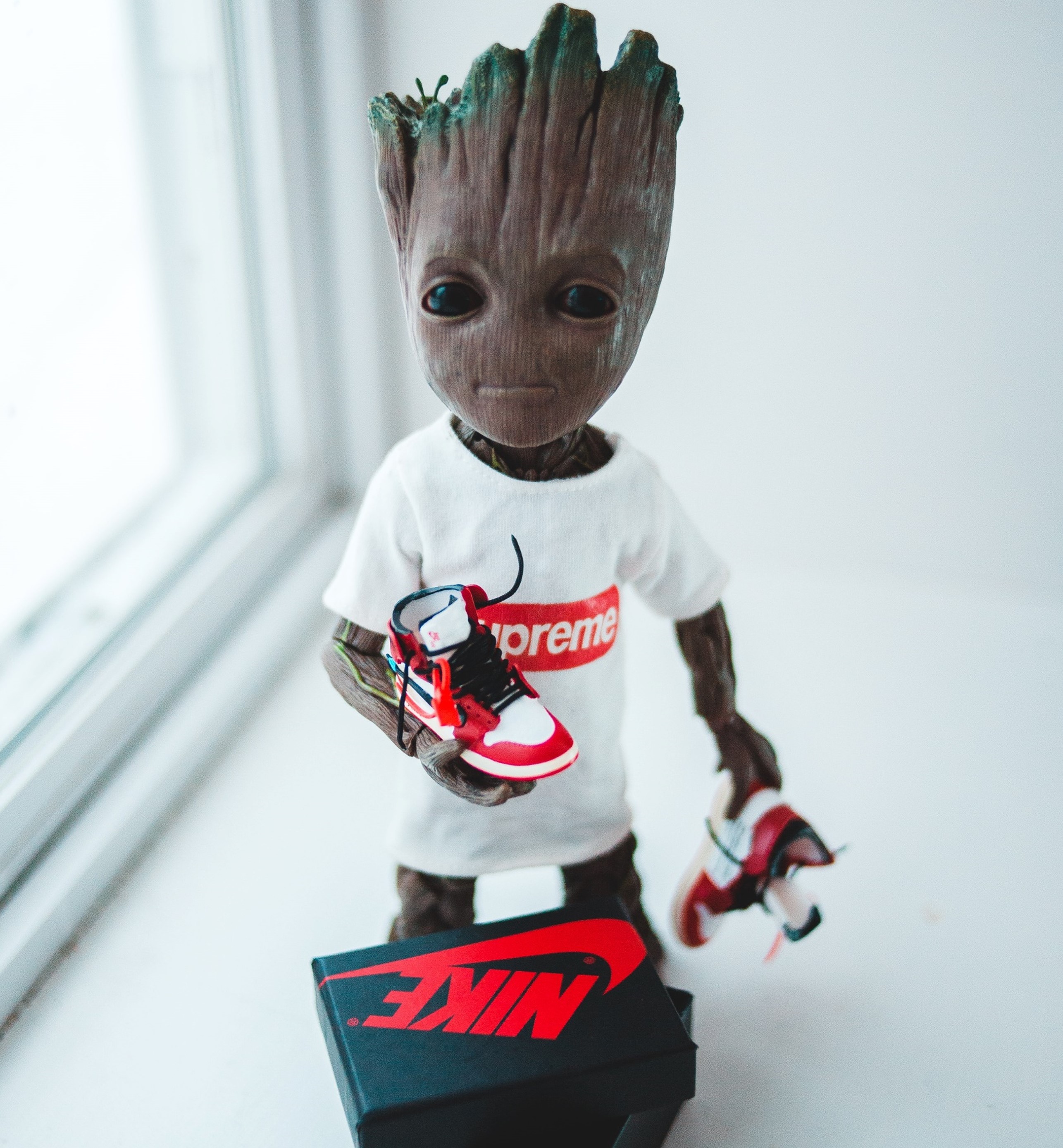 TulsaKicks.com Sneakers Groot